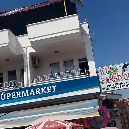 Kus Pansiyon Avsallar